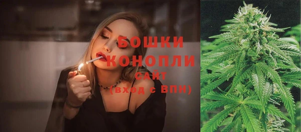 PSILOCYBIN Кодинск
