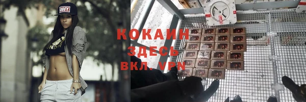 шишки Коряжма