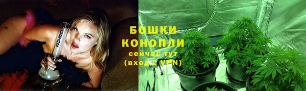 PSILOCYBIN Кодинск