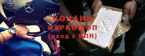 шишки Коряжма