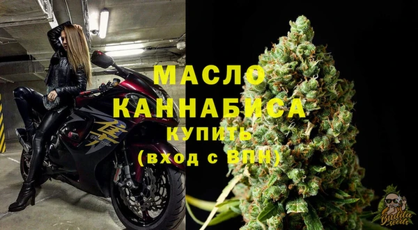 шишки Коряжма