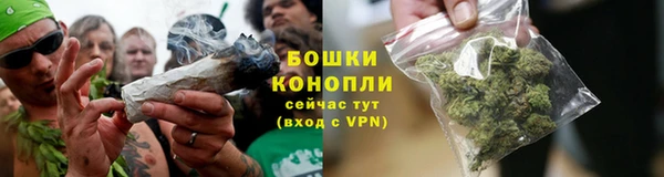 шишки Коряжма