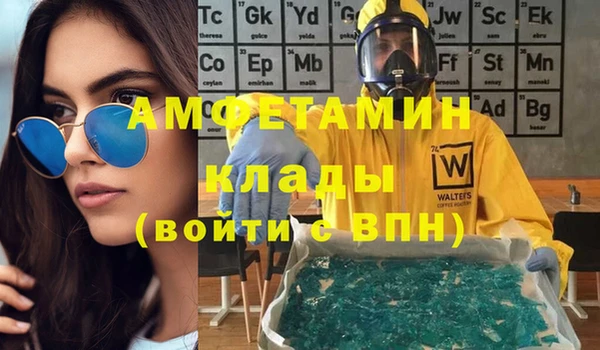 шишки Коряжма