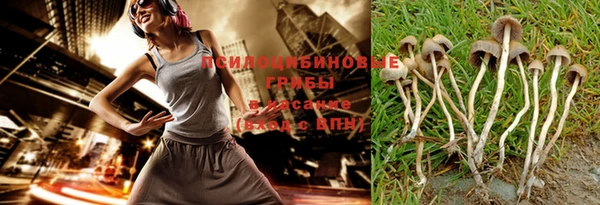 МДПВ Шали