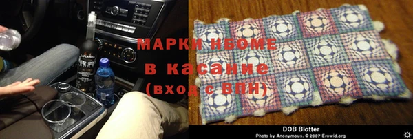 шишки Коряжма
