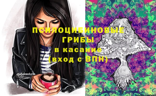 дмт Костерёво